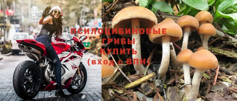 Галлюциногенные грибы Magic Shrooms  продажа наркотиков  это клад  Севск 